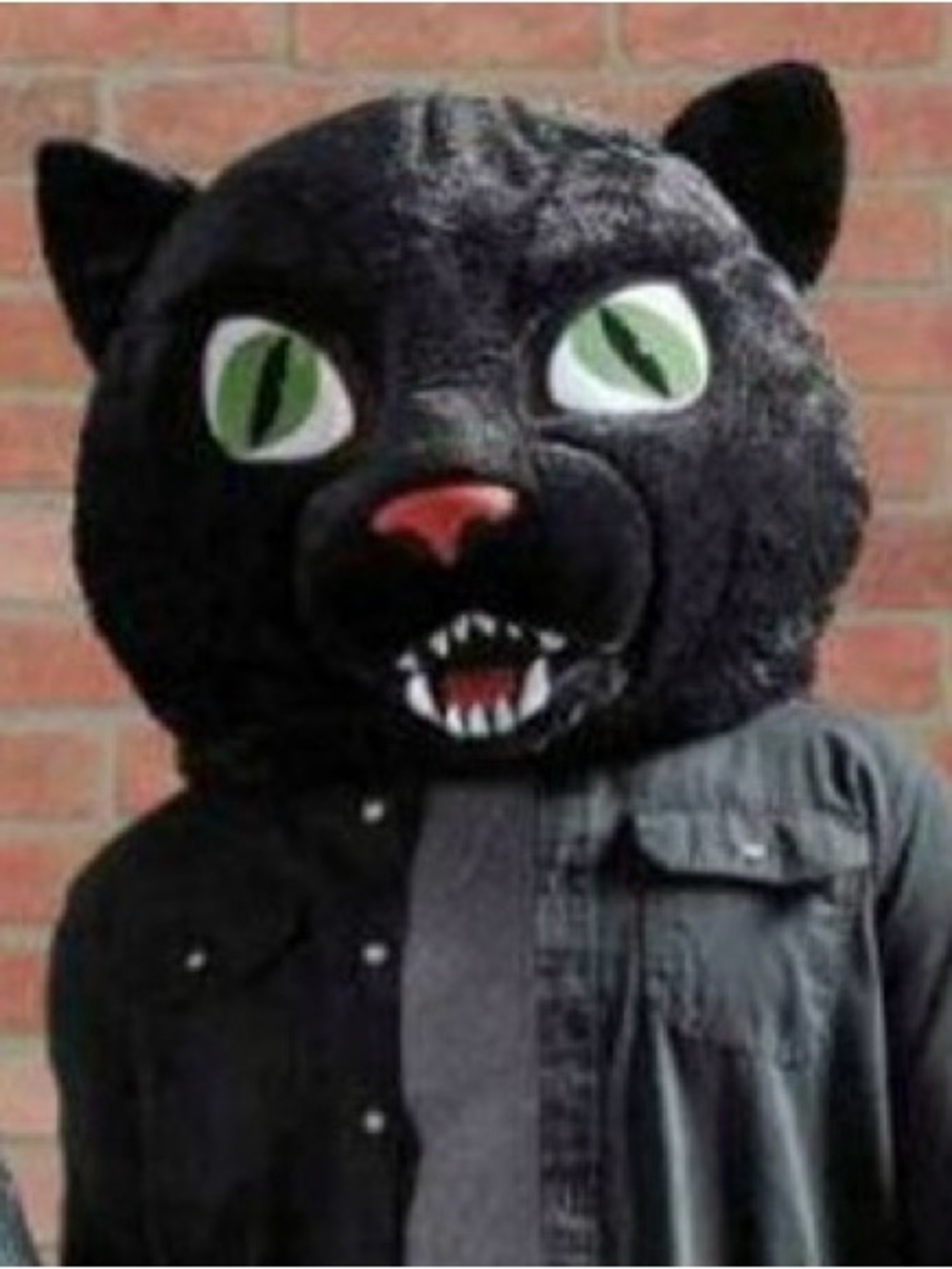 Dan Dee Maskimals Big Head Mascot Halloween Costume Black Panther Cat